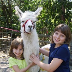 Meet your Posher, Jane